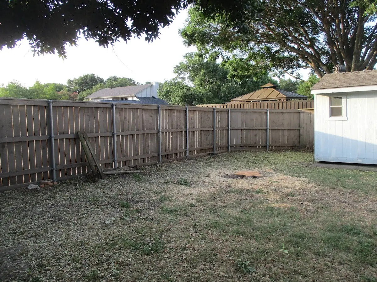 Cleared yard after professional tree removal in Waresboro